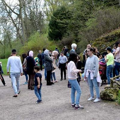 Impressionen 58 20180415 1934303009